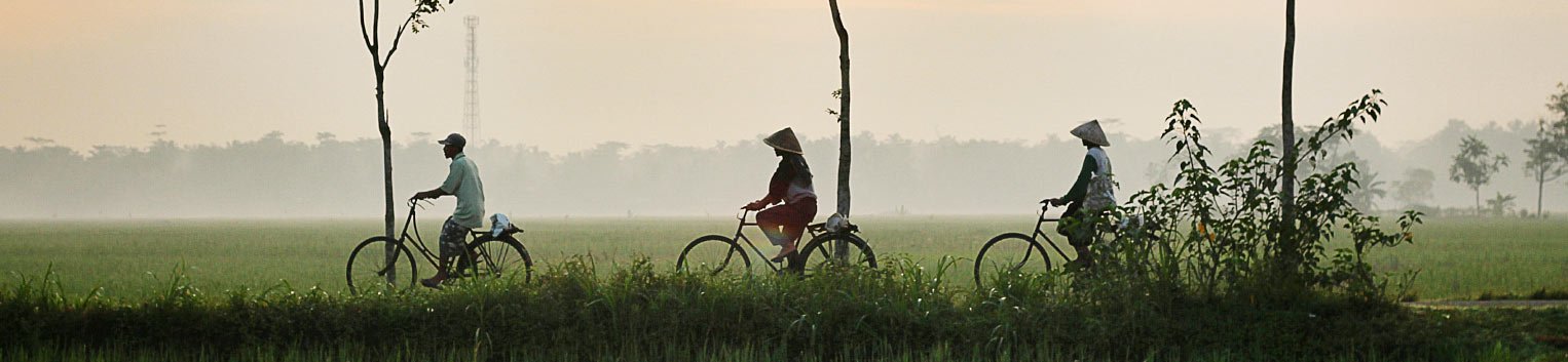 People Riding Bicycles People Riding Bicycles